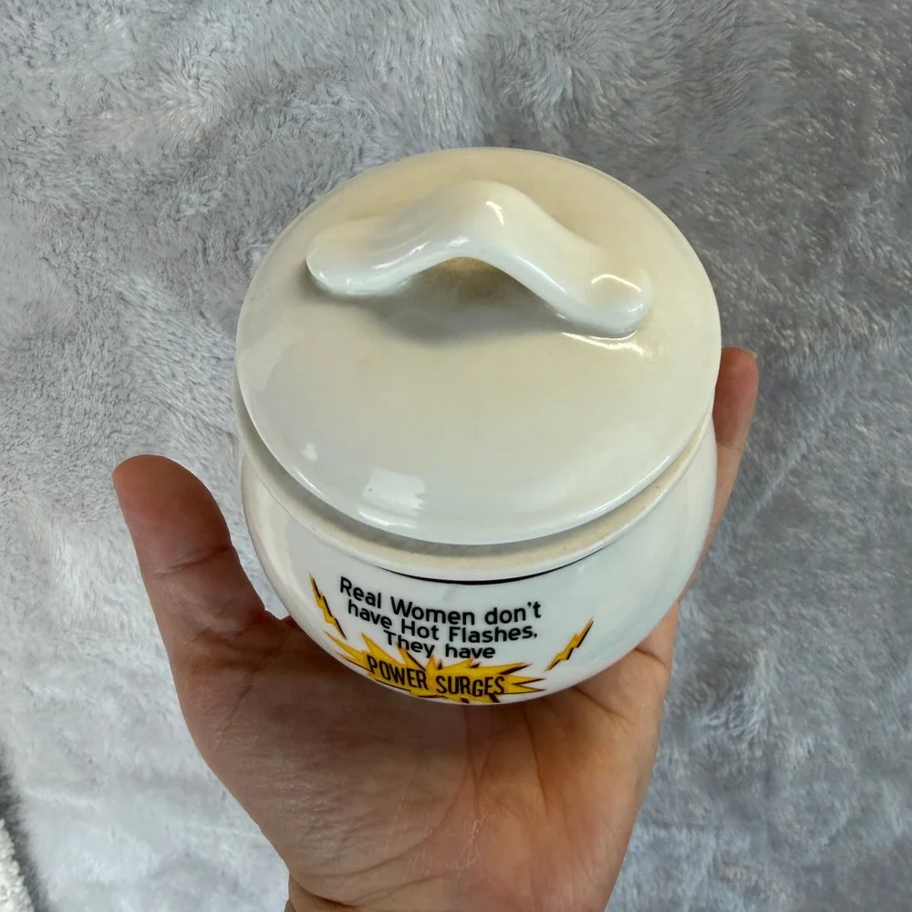 Perimenopause Menopause Joke Trinket Jar Hinged Lid Power Surges‎ Women Gift